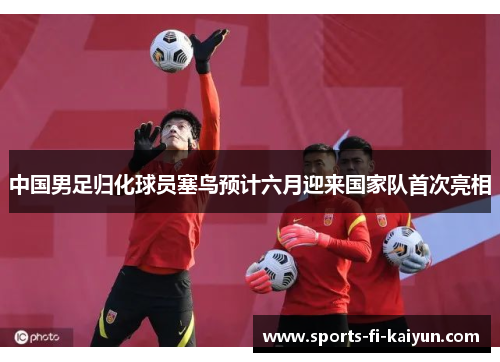 中国男足归化球员塞鸟预计六月迎来国家队首次亮相